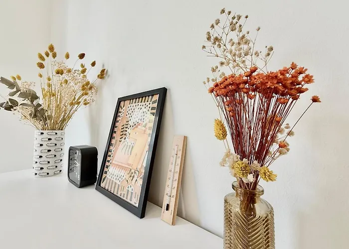 Apartament Casa Miro *